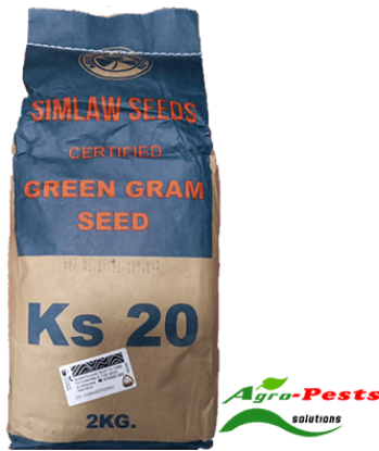 Picture of Green Gram Ks 20
