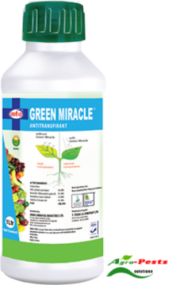 Picture of Green Miracle