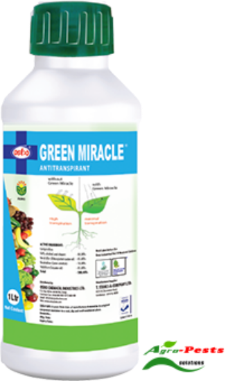 Picture of Green Miracle