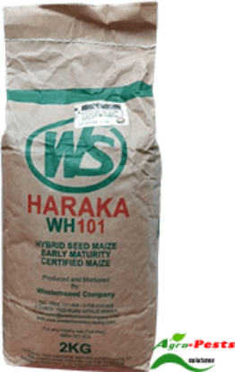Picture of Haraka WH 101