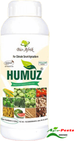 Picture of Humuz