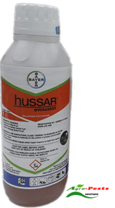 Picture of Hussar