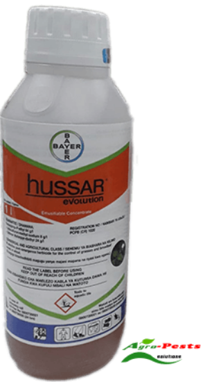 Picture of Hussar