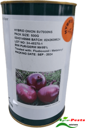 Picture of Hybrid Onion SV 7030NS