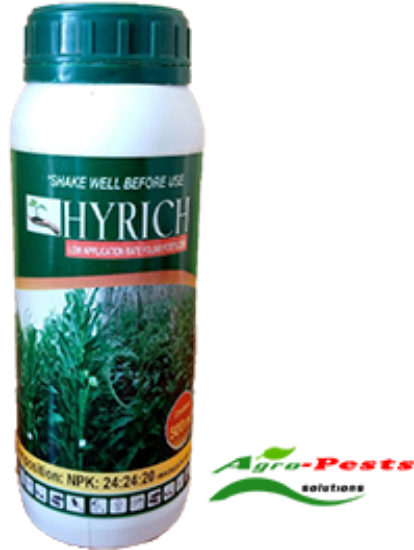 Picture of Hyrich 24.24.20