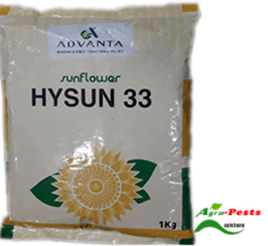 Picture of HYSUN 33