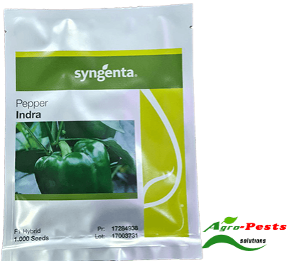 Picture of Indra Pepper 1000 seeds