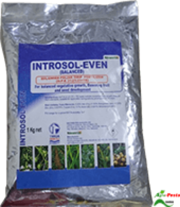 Picture of introsol Even