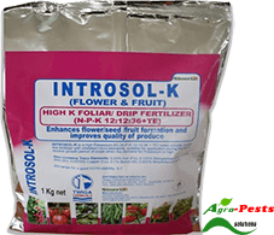Picture of Introsol K