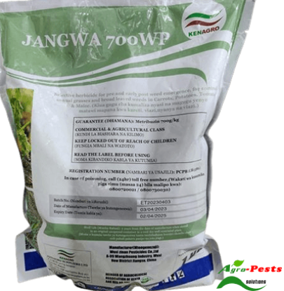 Picture of Jangwa