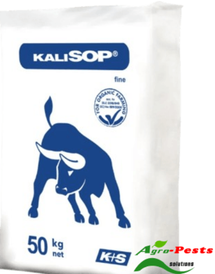 Picture of Kalisop
