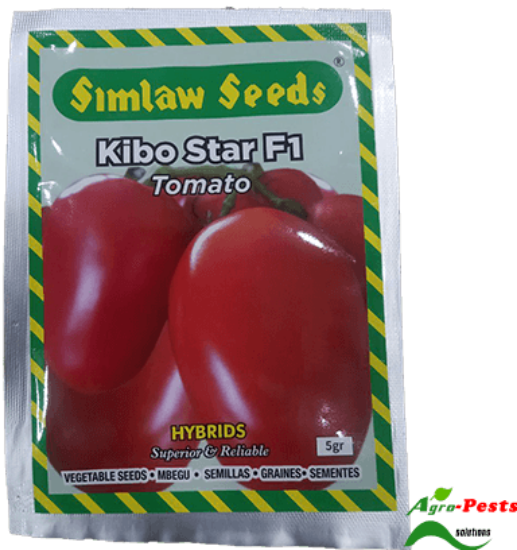 Picture of Kibo Star F1