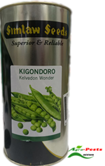 Picture of Kigondoro