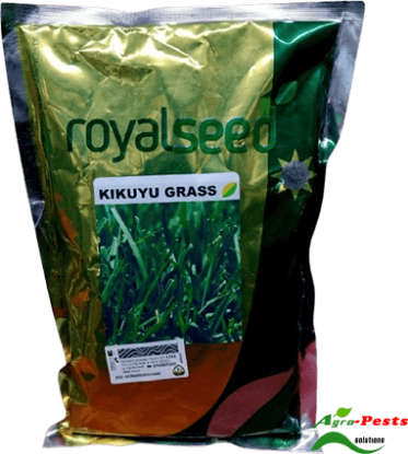Picture of Kikuyu Grass Royal