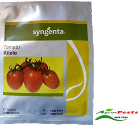 Picture of Kilele Tomato