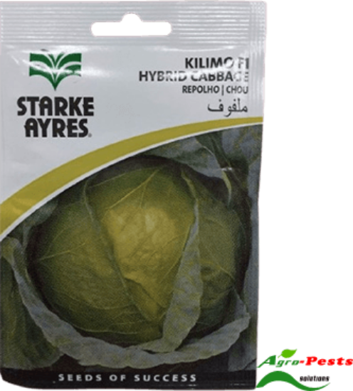 Picture of Kilimo Cabbage