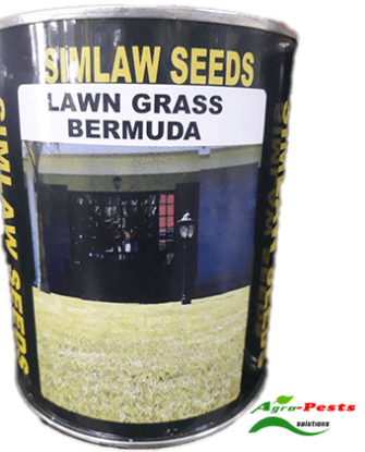 Picture of Lawn grass bermuda