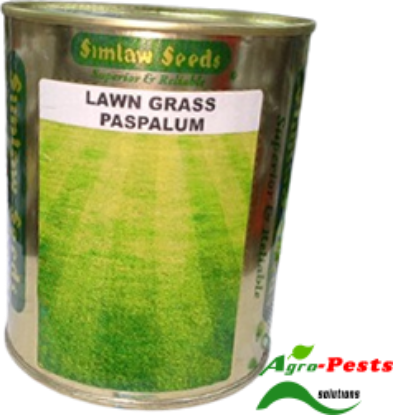 Picture of Lawn grass Paspalum