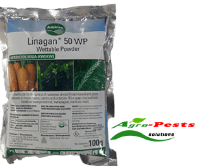 Picture of Linagan