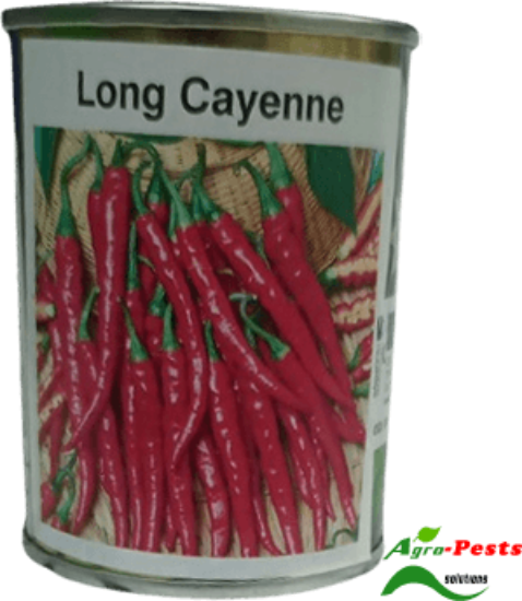 Picture of Long Cayenne Simlaw