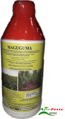 Picture of Maguguma