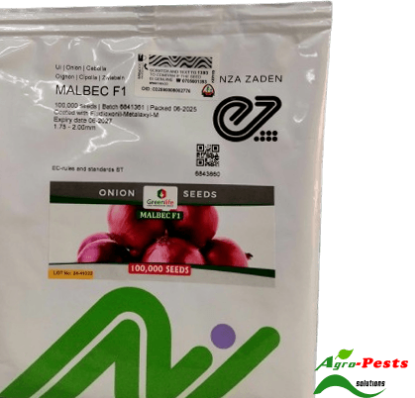 Picture of Malbec F1 Onion