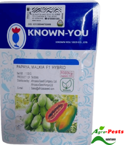 Picture of Malkia F1 Papaya