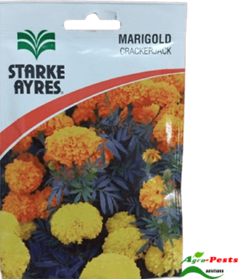 Picture of Marigold Crackerjack