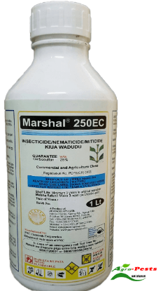 Picture of Marshal 250EC