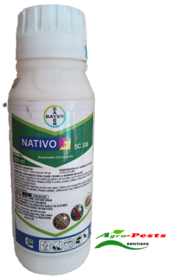 Picture of Nativo SC 320