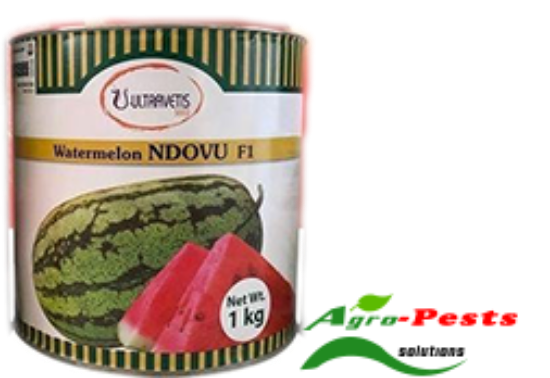 Picture of Ndovu F1