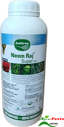 Picture of Neem Raj