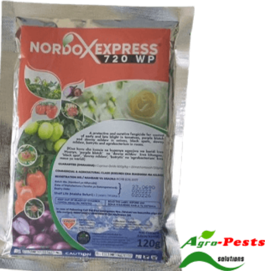 Picture of Nordox Express