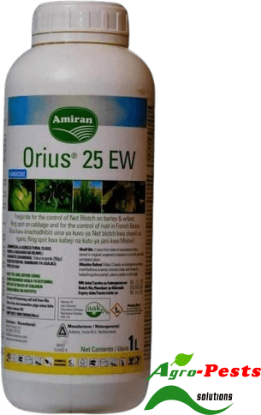Picture of Orius