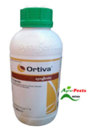 Picture of Ortiva