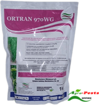 Picture of Ortran
