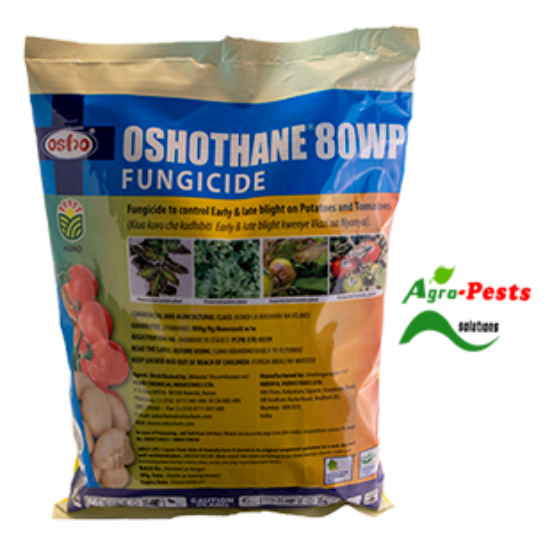 Picture of OshothaneWP