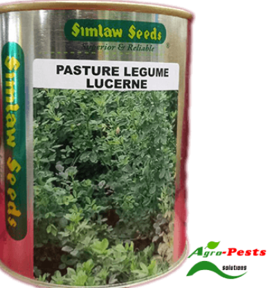 Picture of Pasture Legume Lucerne Simlaw