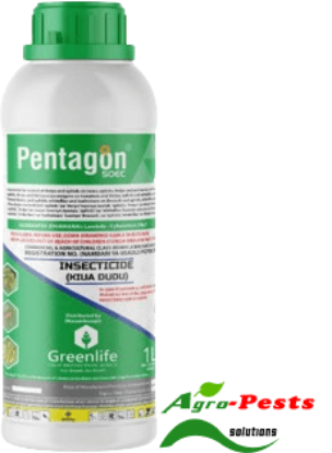 Picture of Pentagon 50 EC