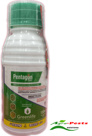 Picture of Pentagon