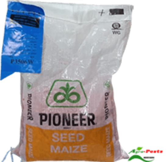 Picture of Pioneer P3506W
