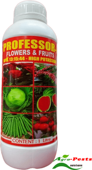 Picture of Professor K