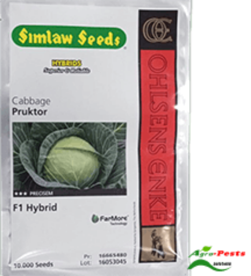 Picture of Pruktor F1 hybrid seed