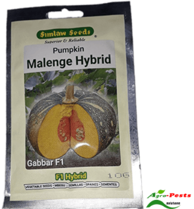 Picture of Pumpkin malenge hybrid Gabbar f1