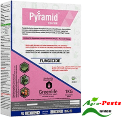 Picture of Pyramid