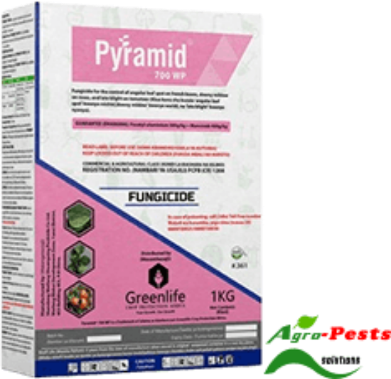 Picture of Pyramid