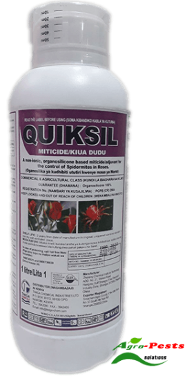 Picture of Quiksil