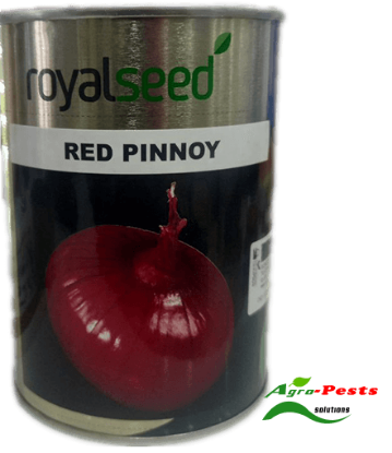 Picture of Red Pinnoy