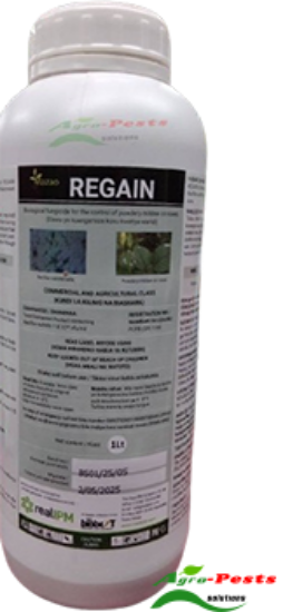 Picture of Regain