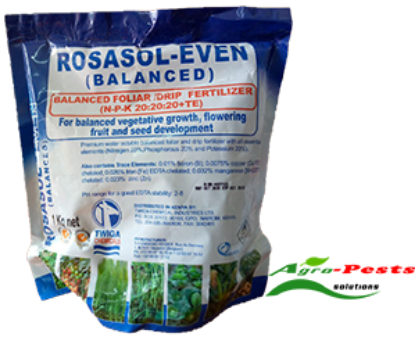 Picture of Rosasol Even